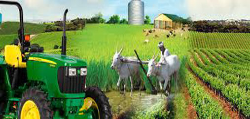 Agriculture Loans